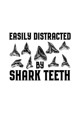 Shark Teeth Collecting