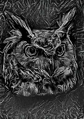 Owl Black Portrait