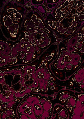 Burgundy Gold Marble 06