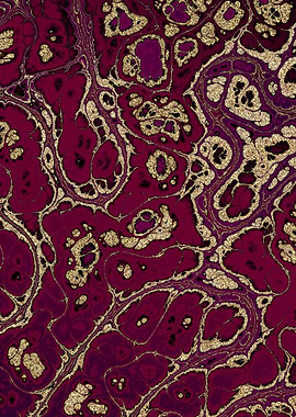 Burgundy Gold Marble 02