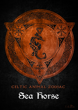 Sea horse Viking zodiac
