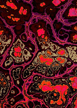 Burgundy Gold Marble 05