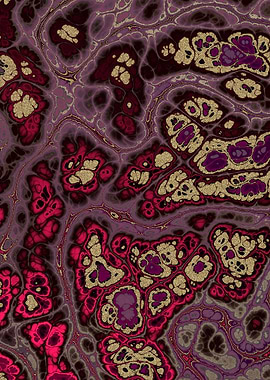 Burgundy Gold Marble 11