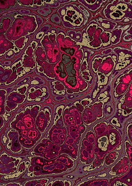 Burgundy Gold Marble 09