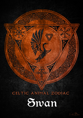 Swan Viking zodiac sign