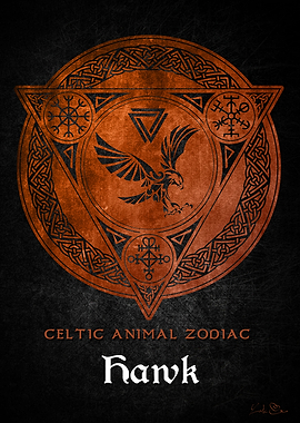 Hawk Viking zodiac sign