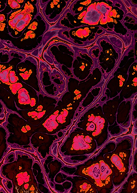 Burgundy Gold Marble 01