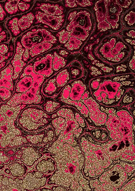 Burgundy Gold Marble 14