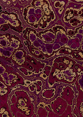 Burgundy Gold Marble 20