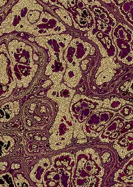 Burgundy Gold Marble 13