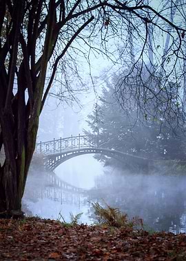 Autumn foggy lake in park