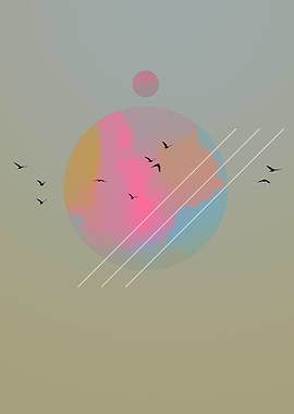 Flying birds in summer sky