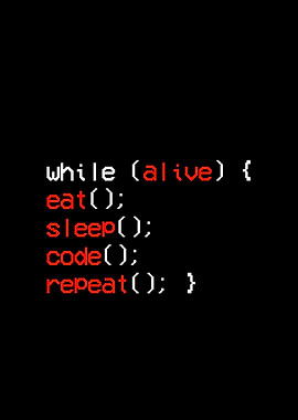 Programmer Funny Wall Art