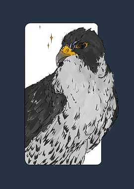 Peregrine