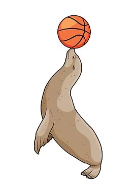 Seal Basketball Sports