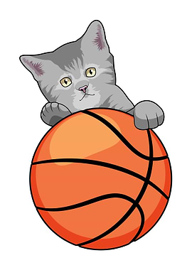 Cat Basketball Sports