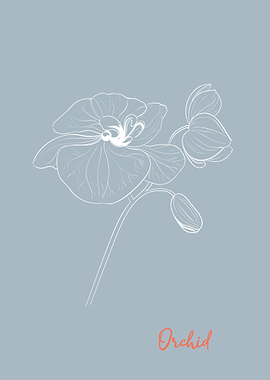Orchid Flower