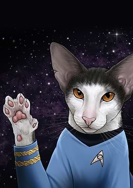 Star Trek Cats 15