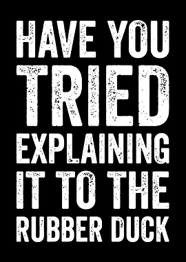 Have You Tried Explaining