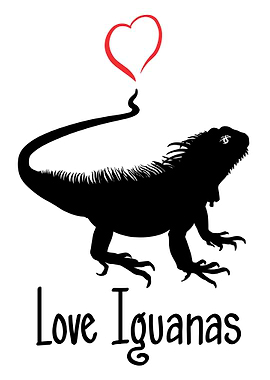 Love Iguanas