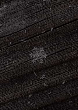 Snow flake