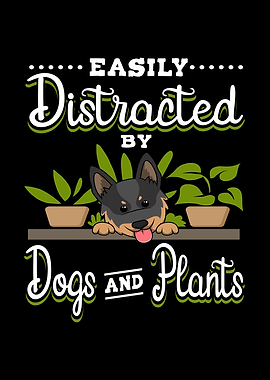 Dogs and Plants