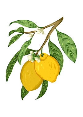 Lemon Botanical Art