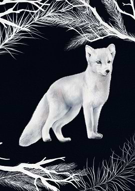 Arctic Fox
