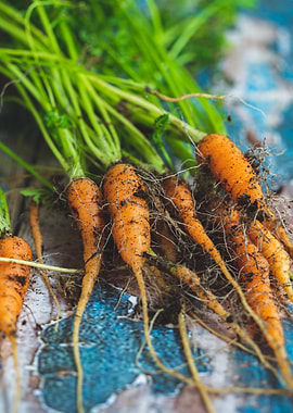 Carrots