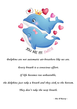 Quotes Dolphin