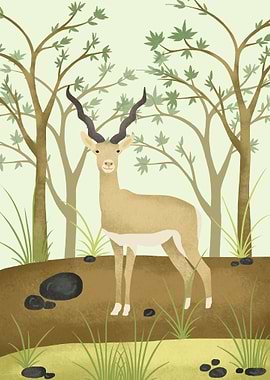 Antelope Animals