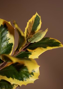 Green and yellow leaves