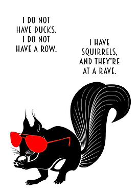 FUNNY DUCKS Sunglasses