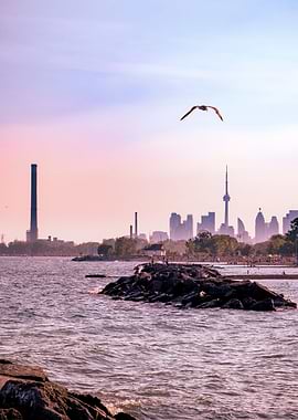 Toronto cityscape sunset