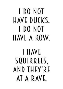 Funny Ducks Market Deco