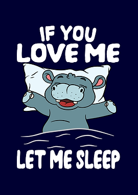 Love Me Let Me Sleep