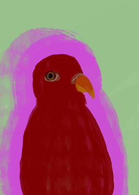 Red bird