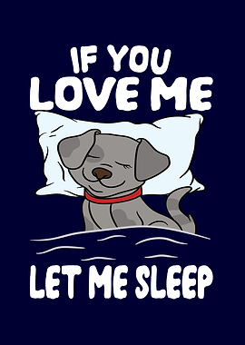 Love Me Let Me Sleep