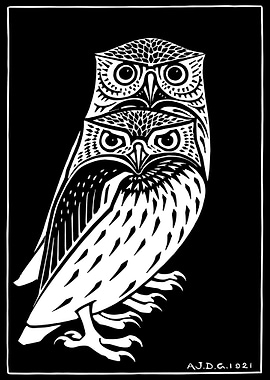 Two Owls