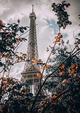Eiffel Tower