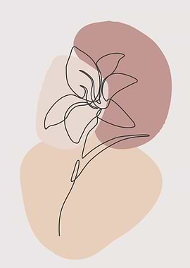Single flower line drawing