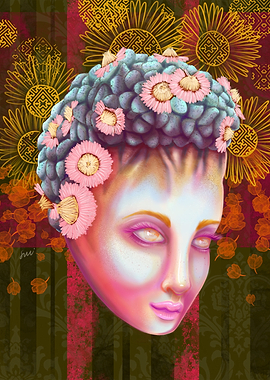 Lady Aloinopsis schooneesi