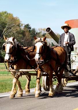 Amish Life