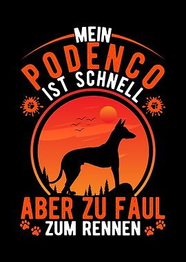 Fauler Podenco Spanischer