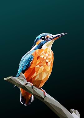 kingfisher