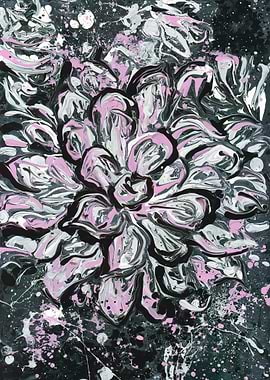 Pink and Silver Aster