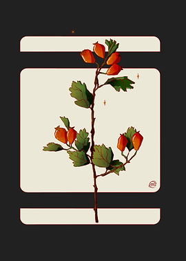 Rosehip