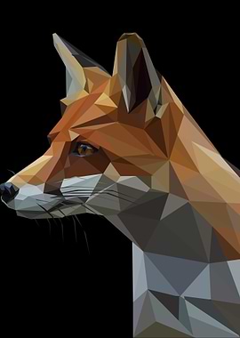 wild fox