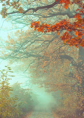 Autumn misty path in park
