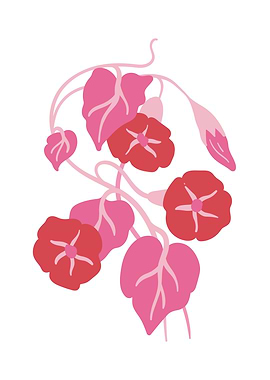 Pink Botanical flower leaf